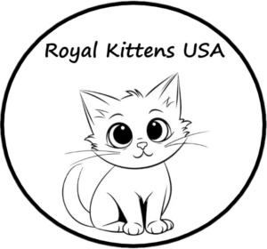 Purebred Kittens for sale in Los Angeles. Available Kittens Maine Coon, British, Scottish, Ragdoll, Bengal. Catteries registered in the WCF and TICA systems. Choose now